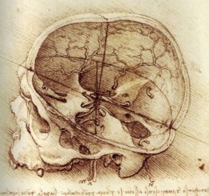 Leonardo da Vinci - Open skull
